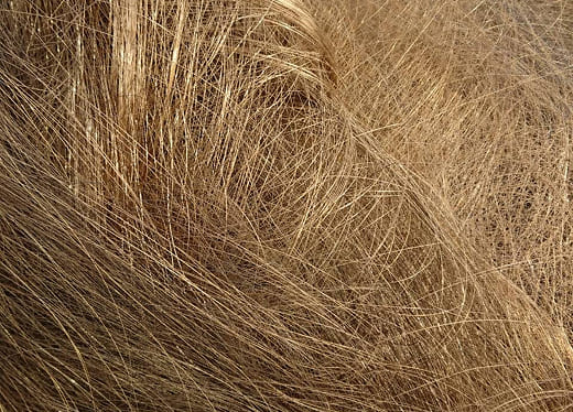 ワイヤーカット